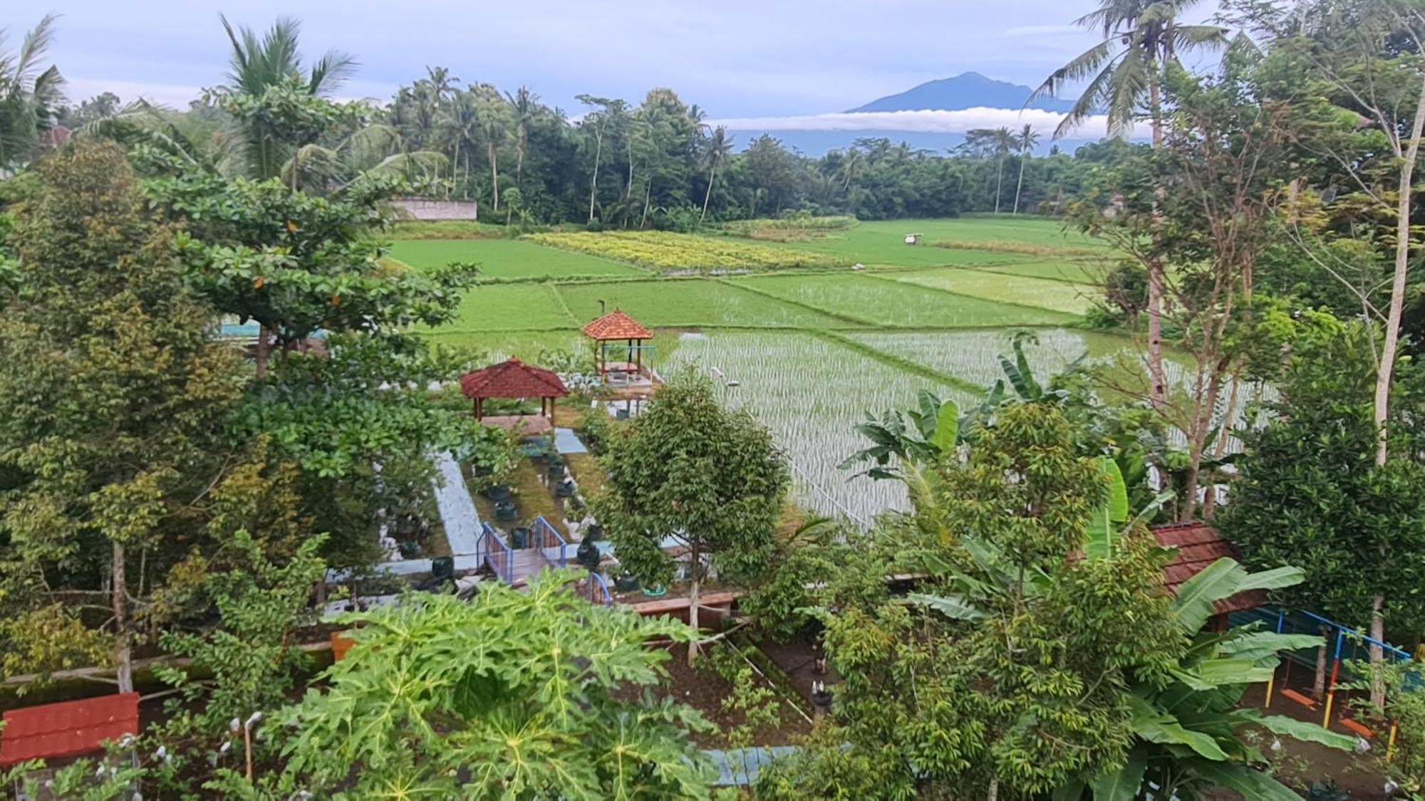 Homestay Anugrah Borobudur 1&2 Magelang Luaran gambar