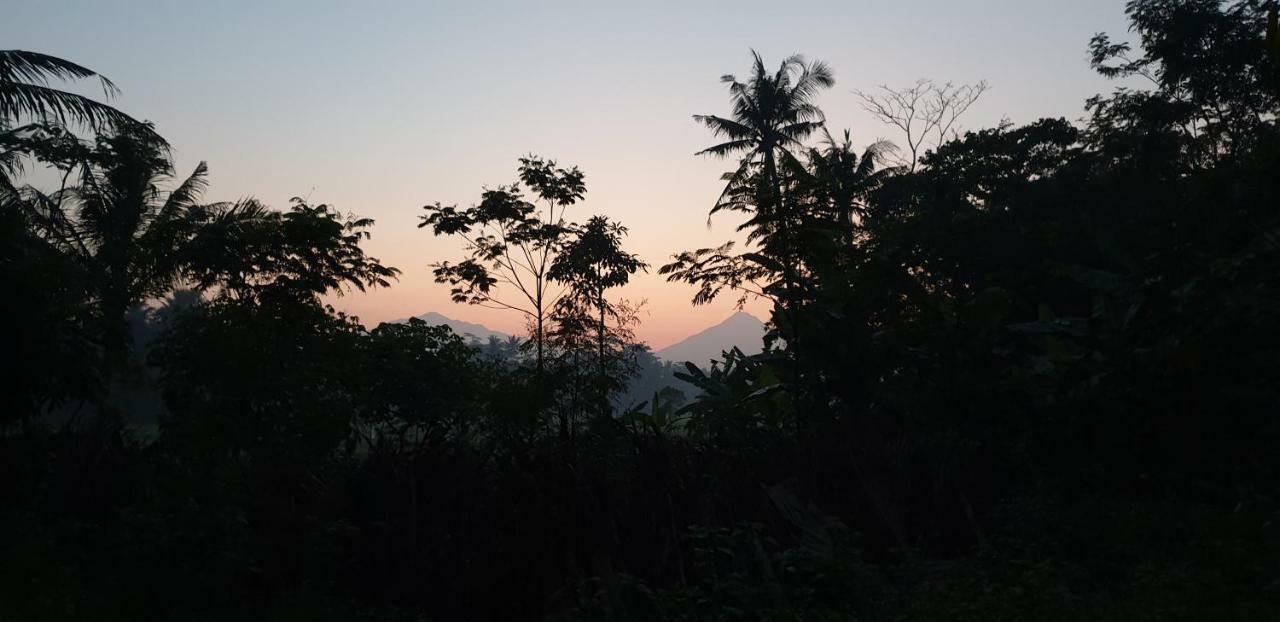 Homestay Anugrah Borobudur 1&2 Magelang Luaran gambar